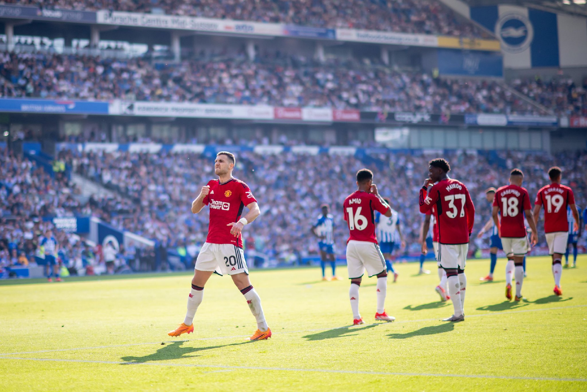 的职业生涯 的职业生涯