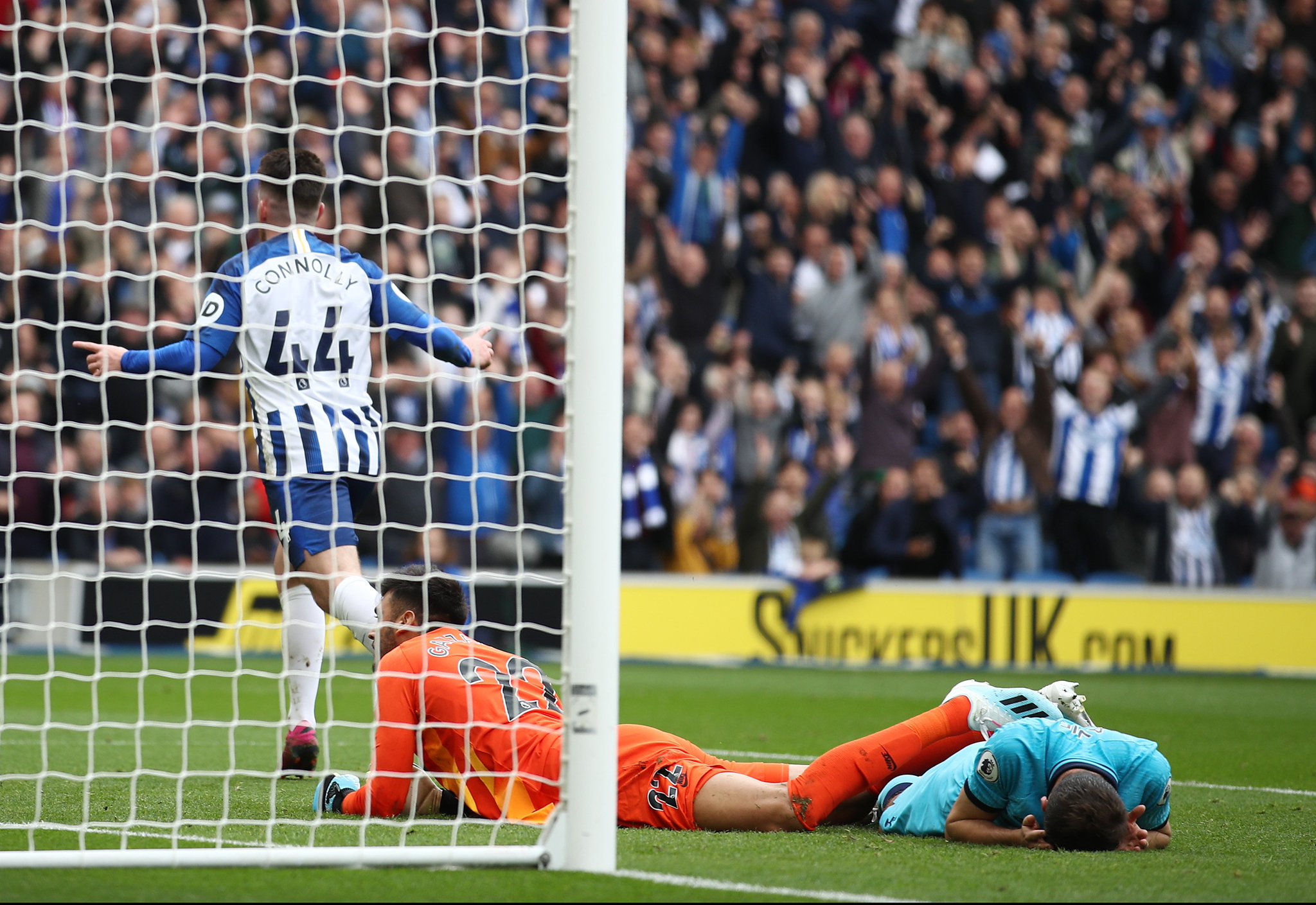 作出了一項 作出了一項