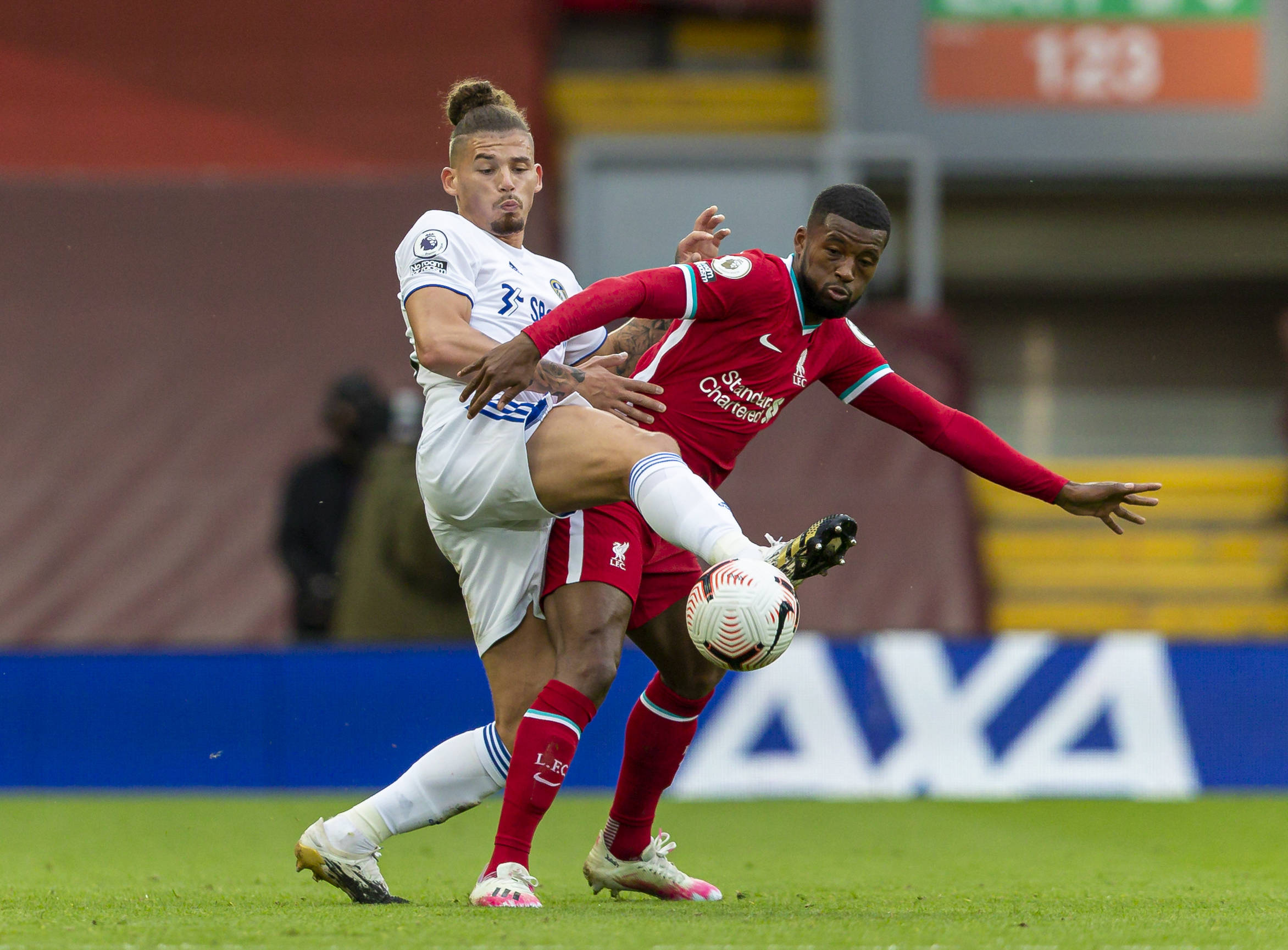 这是因为他 这是因为他